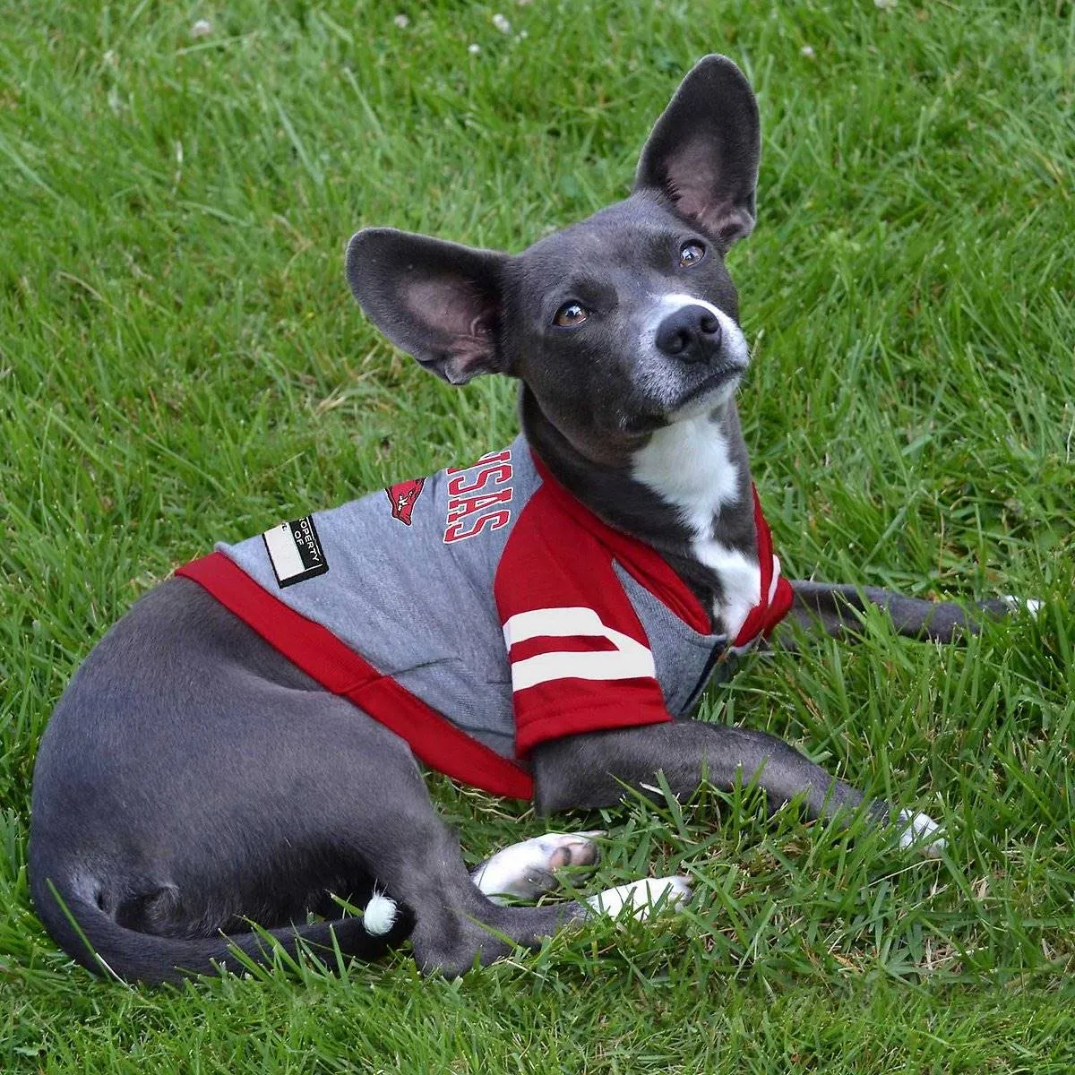 AR Razorbacks Lightweight Pet Hoodie
