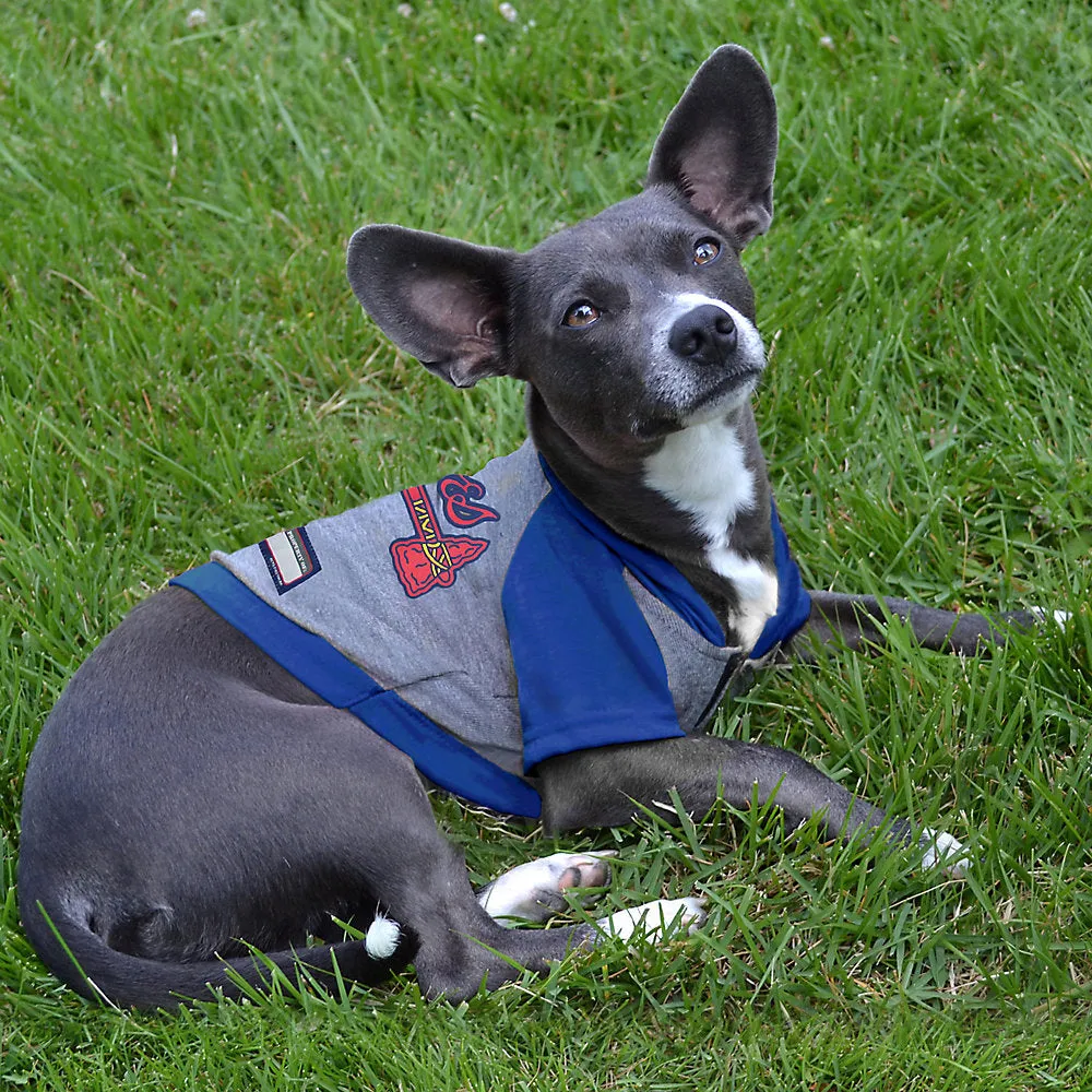 Atlanta Braves Lightweight Pet Hoodie
