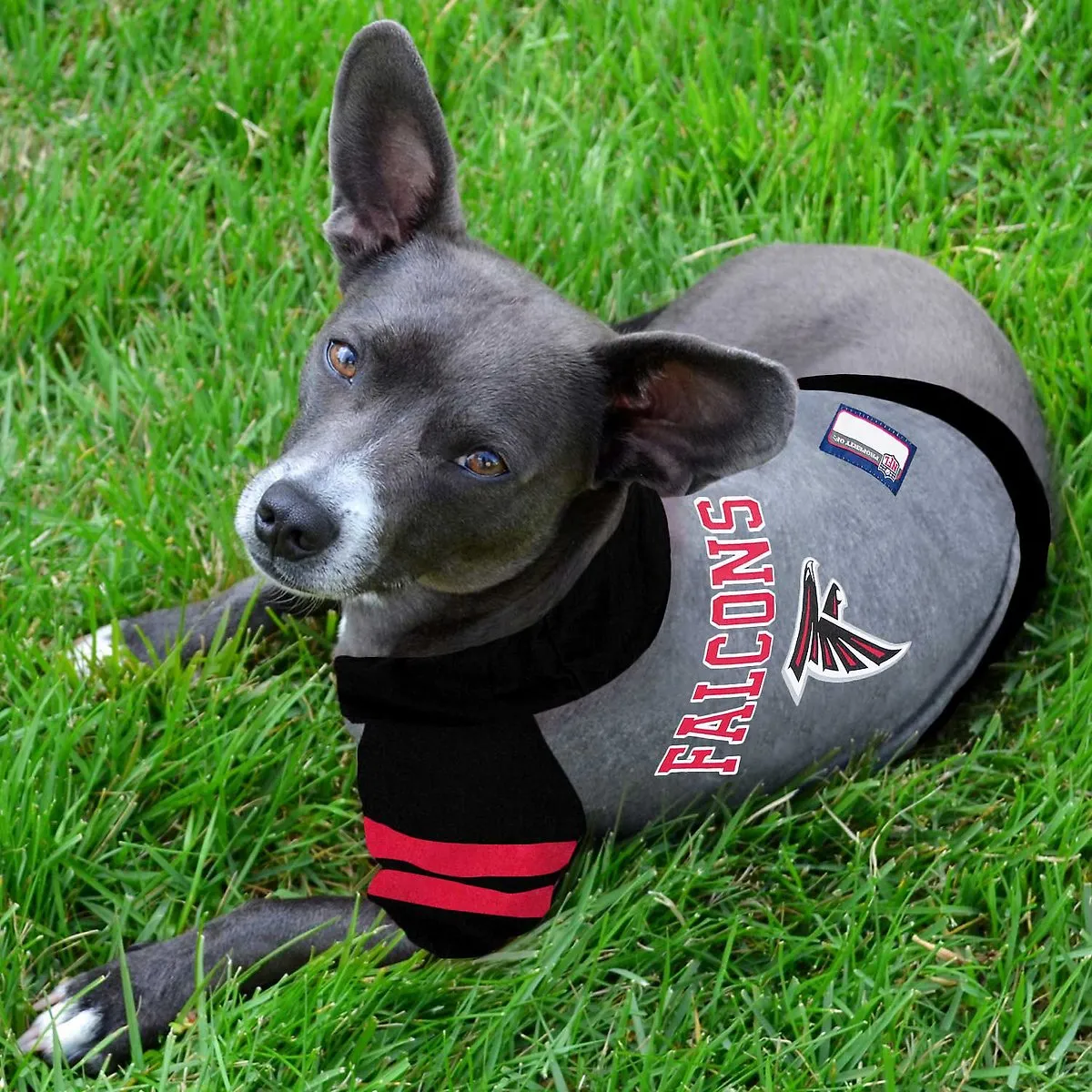 Atlanta Falcons Lightweight Pet Hoodie