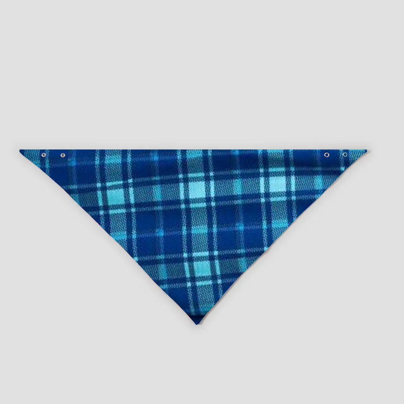 Christmas We are Family 2024 Letter Print Blue Long Sleeve Top With Blue Plaid Family Matching Pajamas